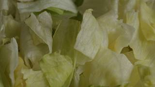 At least 10 cyclosporiasis cases in Maine tied to multistate iceberg lettuce recall