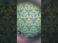 Garden Kaleidoscope @paineartcenterandgardens #wisconsin #garden #museum #museumvlog