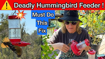 BIG Warning on Hummingbird Feeder 🐦 Please Check to if You are Using this Type for Your Hummingbirds
