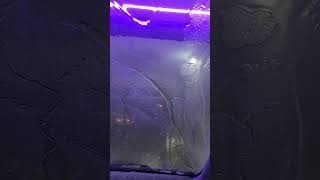 Carwash (Touchless) at 76 Bond/ELk Grove
