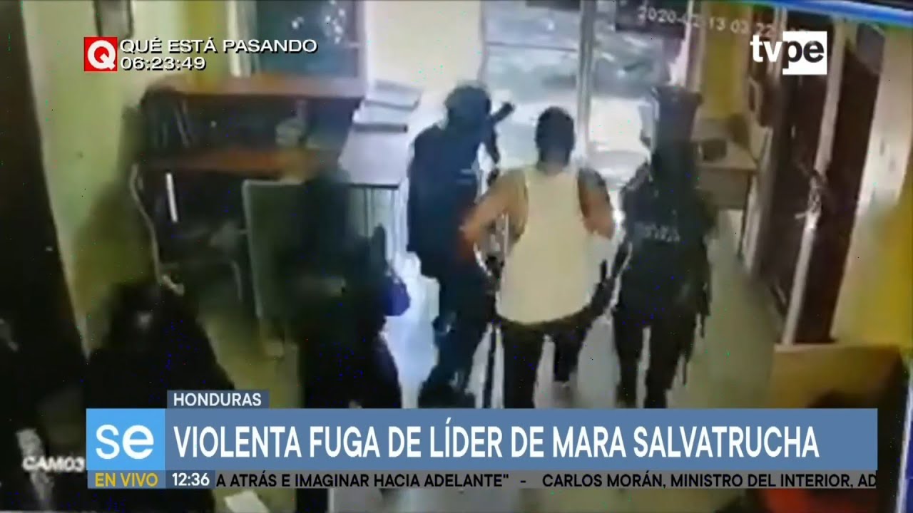 Honduras: pandilla La Mara Salvatrucha libera a líder