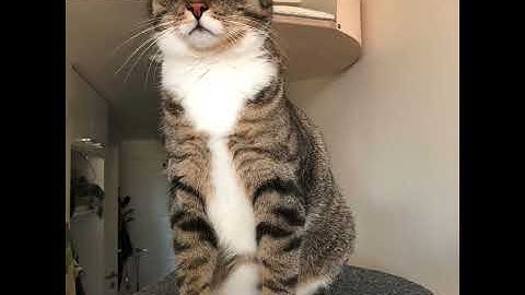 Kokemusasiantuntijat no 2 esittäytyvät