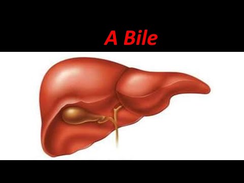 Vídeo: Durante a digestão a principal função da bile na emulsificação de?