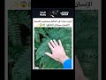 سبحان الله نبات يعانق اليد سبحان الله عجائب طبيعة غرائب  ترند