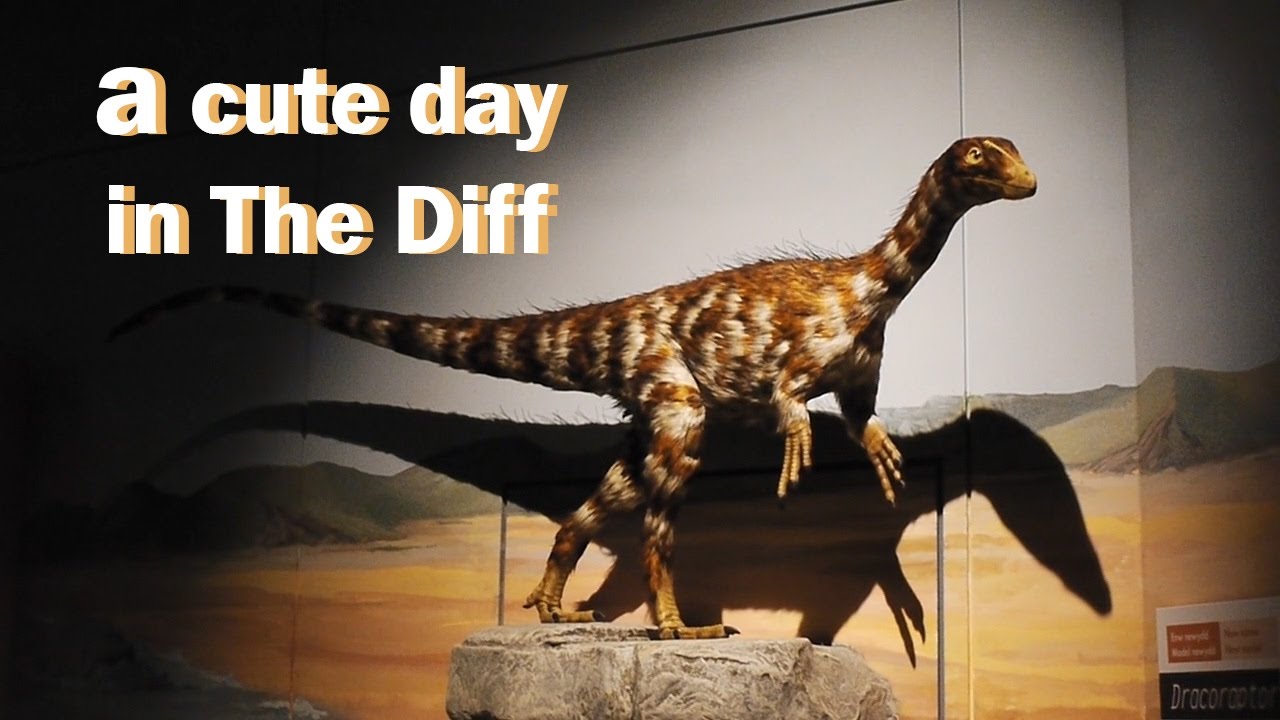 A Cute Saturday in Cardiff