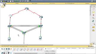 Scalable Networks