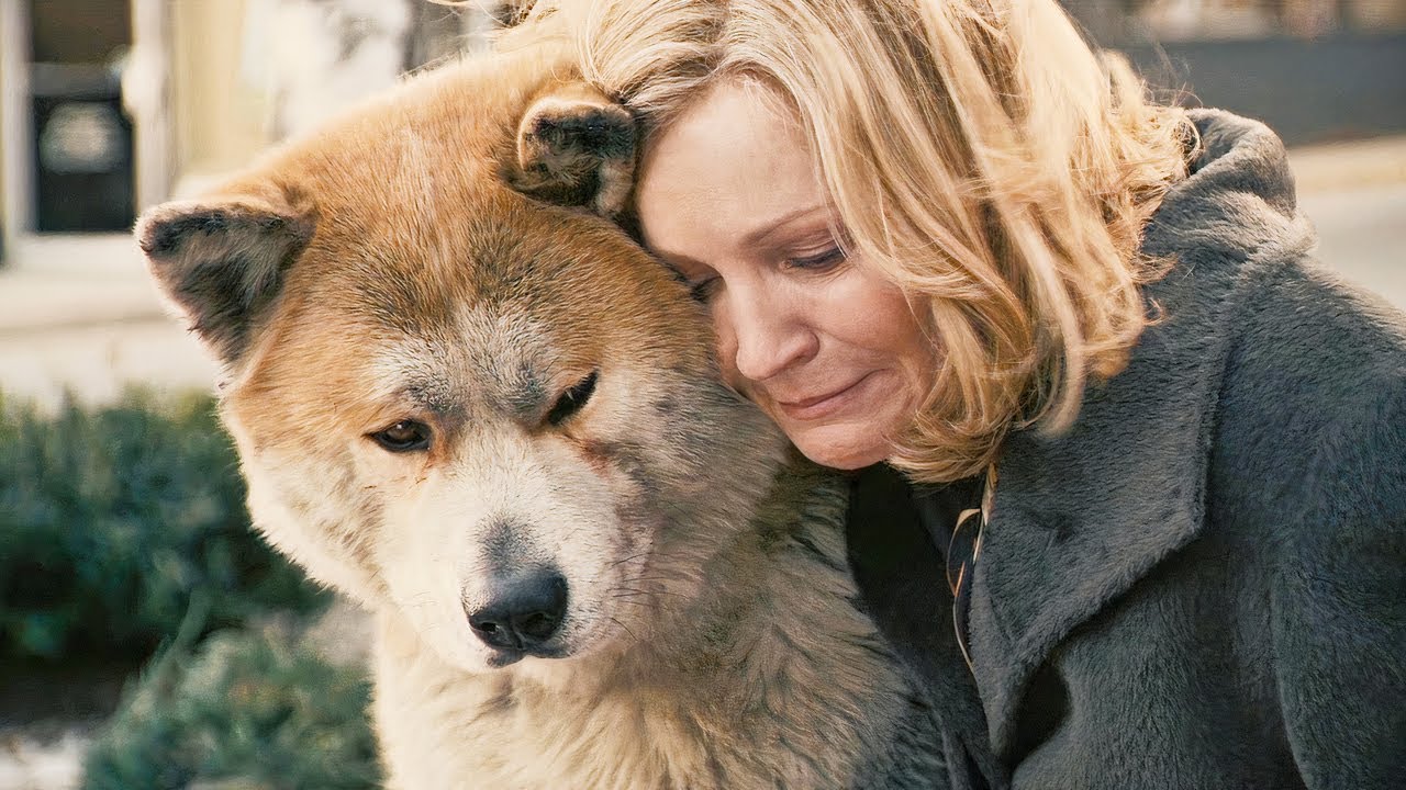 Dog Waits At The Same Spot For 10 Years For His Owner To Return, Only ...
