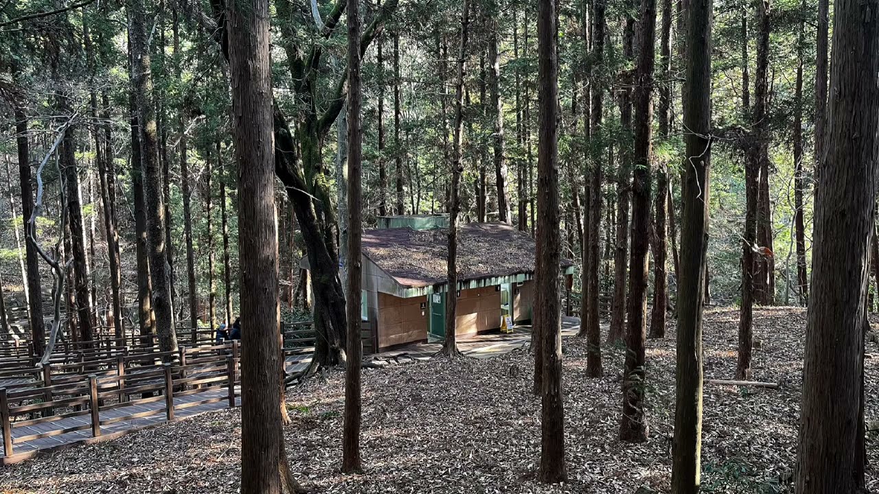 Full Video 251231 백양산숲길걷기 /수백회 제193차