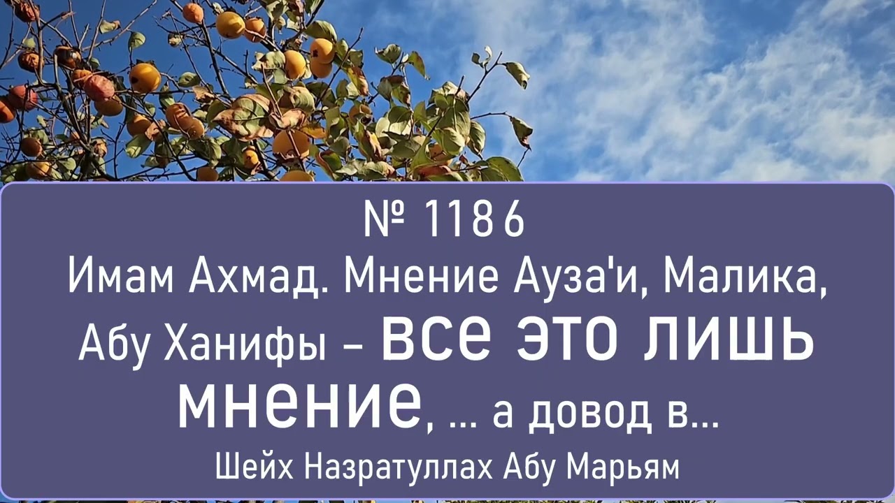 Имам Ахмад. Мнение Ауза'и, Малика, Абу Ханифы – все это лишь мнение, ... а довод в...