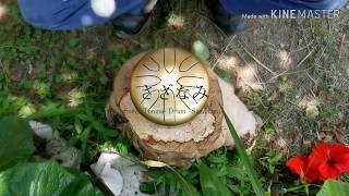 さざなみプチ8音 オリジナル音階 / Steel tongue drum Sazanami