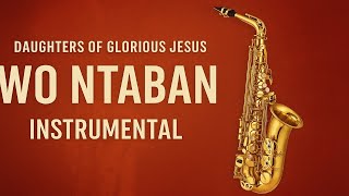 Daughters of Glorious Jesus - Wo Ntaban (Instrumental Cover) 🎶✨ | Worship in Pure Sound