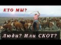 Мы заслуживаем такого обращения... Хочешь жить иначе? СМОТРИ ДО КОНЦА