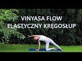 Elastyczny krgosup  vinyasa flow