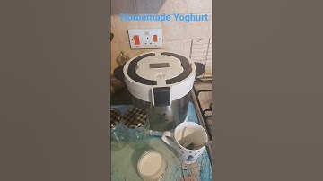 Homemade Yoghurt 2 Ingredients / Milk + Live Bio Yoghurt  #keeper at home #plainyoghurt