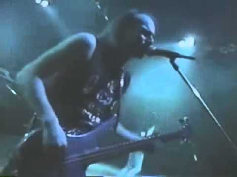 Coroner - Masked Jackal