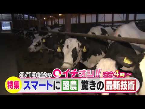 【公式】3月13日（金）イチオシ！！予告