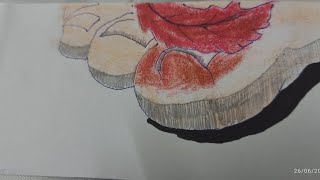 I made 60fps Flipbook / by hand