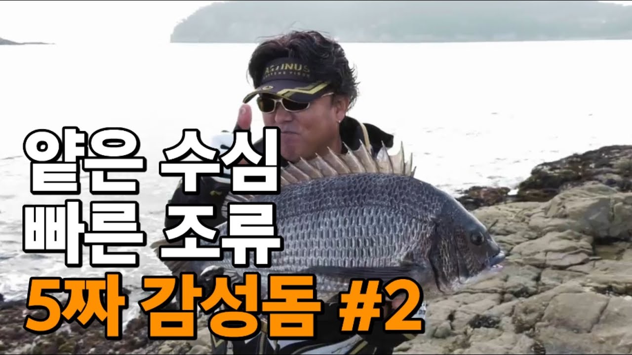 얕은 수심, 빠른 조류 그리고 5짜 감성돔 #2 by 박진철 프로
