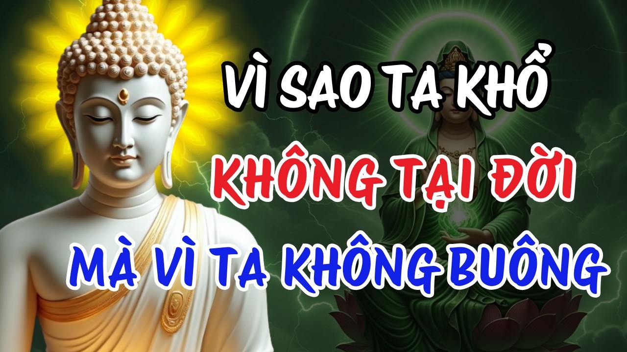 Phật Dạy: Gốc Rễ Của Khổ Đau Là Chấp Niệm – Buông Xuống Để Tâm An | Sống Nhẹ Giữa Vô Thường
