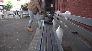 PSA: Keep Our Parks and Neighborhood Clean