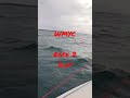 WMYC Race 2. short handed series. down wind run to Saint Helena Red. Geronimooooo. Elliott 7 racing