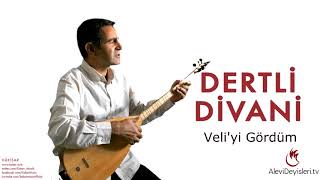 Dertli Divani - Veli'yi Gördüm | AleviDeyisleri.tv Resimi