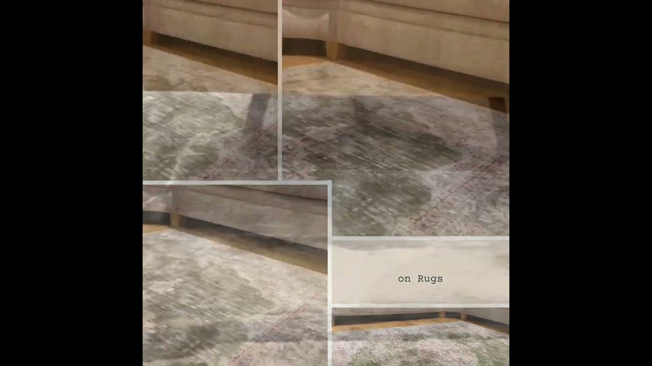 Limited Time Offer: Enjoy 15% Off on Exquisite Rugs at Foy and Company! 