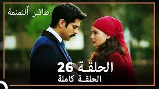 طائر النمنمة | الحلقة 26