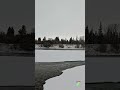 Winter Silence at the Bow River 🌨️ | Snowy Afternoon in Calgary