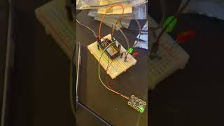 ECE 568 lab4 demonstration video Net Worth