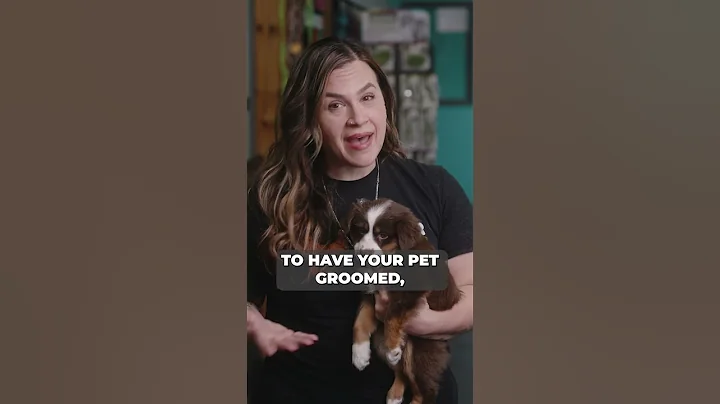 Video 10905521: cat kitten training, cat kitten dog, pets