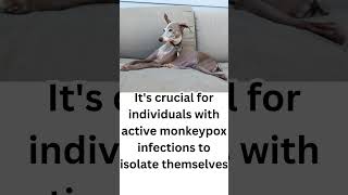 Monkeypox Transmission to Dogs