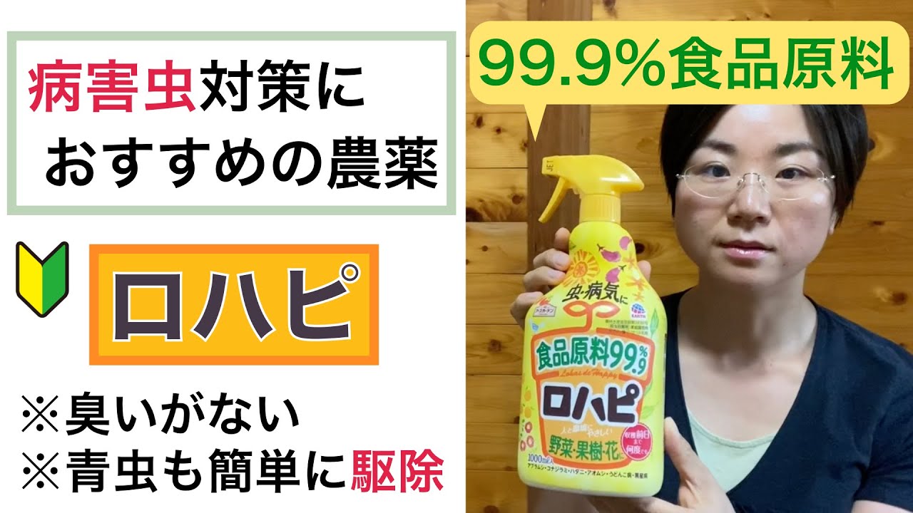 病害虫対策におすすめの農薬ロハピ 青虫も簡単に駆除できる Youtube