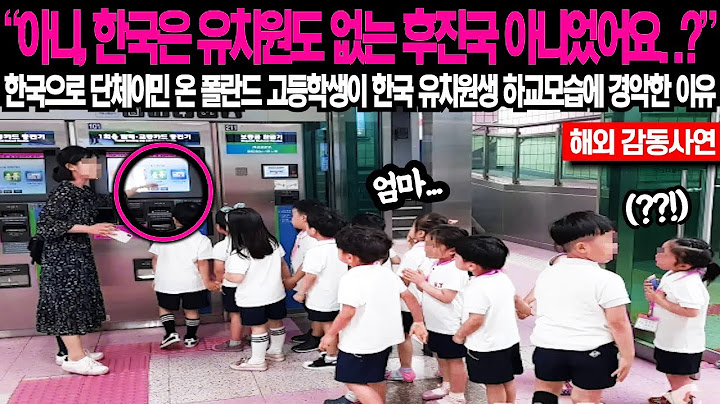 "아니, 한국은 유치원도 없는 후진국 아니었어요..?" 한국으로 단체이민 온 폴란드 학생들이 한국 유치원생 하교모습에 경악한 이유
