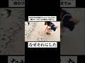ウチの嫁が空気を全く読もうとしてくれないw #天然の嫁 #何考えてるかわからん #夫婦 #嫁 #天然 #夫婦の日常
