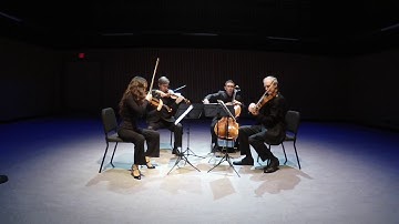 Landscapes: A Northern Odyssey Concert Sampler by Borealis String Quartet
