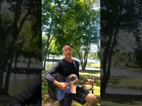 You are always on my mind, Elvis Presley