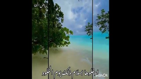 ما تيسر من سوره (ق)بصوت القاريء محمد كيوان 💜