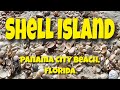 Shelling Shell Island, Panama City Beach, Florida, Part I