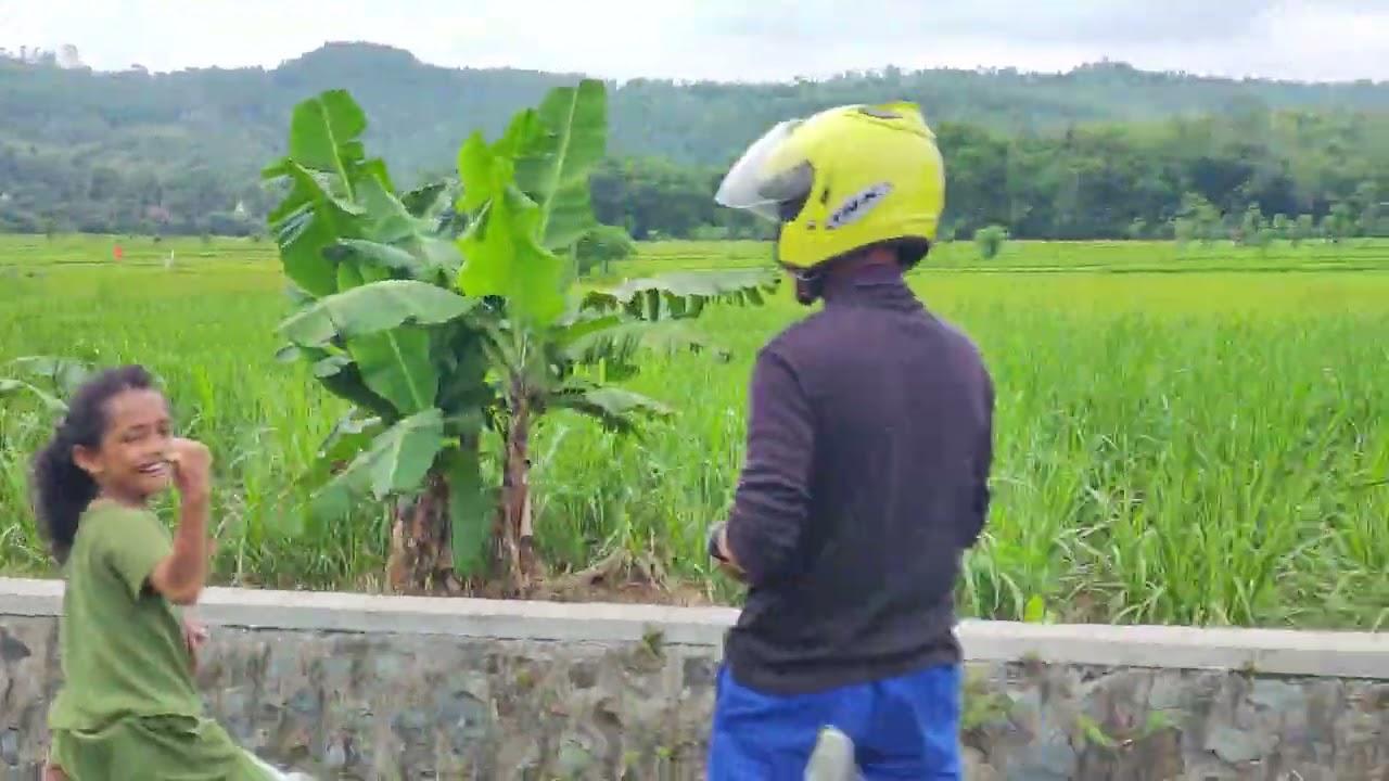 Suasana Desa Asri dengan Hamparan Sawah dan Pegunungan Indah