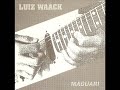 Luiz waack  maguari 1994