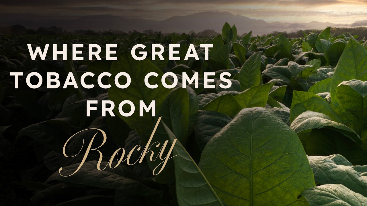 Where Does the Best Cigar Tobacco Come From? Rocky Patel Explains Wrapper,  Binder & Filler Tobacco