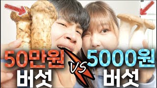 50만원짜리 송이버섯 vs 5000원짜리 버섯 뭐가 더 맛있을까? ㅋㅋㅋㅋㅋㅋ