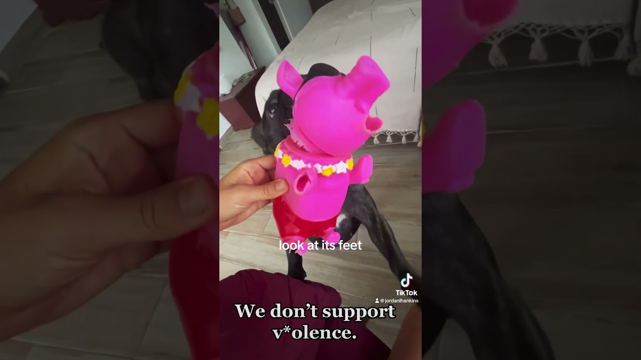 Frenchie bulldog dog toys 🐷