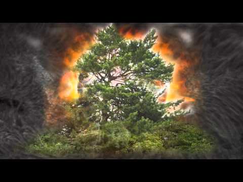 Elegy Video