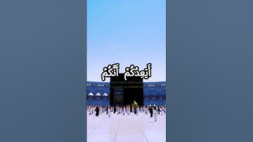 ولئن اطعتم بشرا مثلكم انكم اذا لخاسرون القارئ ياسر الدوسري❤☪ #ياسر الدوسري #قران الكريم