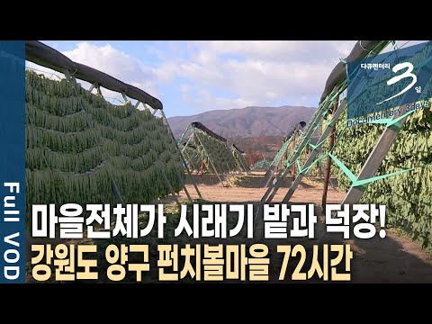 해발 <strong>500m</strong> 높은 봉우리로 둘러싸인 분지. 시래기가 유명한 양구 펀치볼마을 72시간 [다큐3일 KBS 20181111 방송]