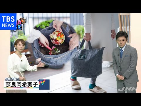 アパートでもできる！コンポストの簡単な始め方とコツ