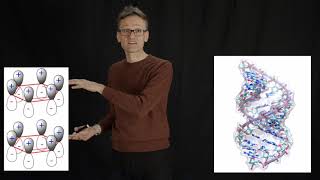 Celebrity Lecture 01, concept 05: Base stacking stabilizes DNA Wealth