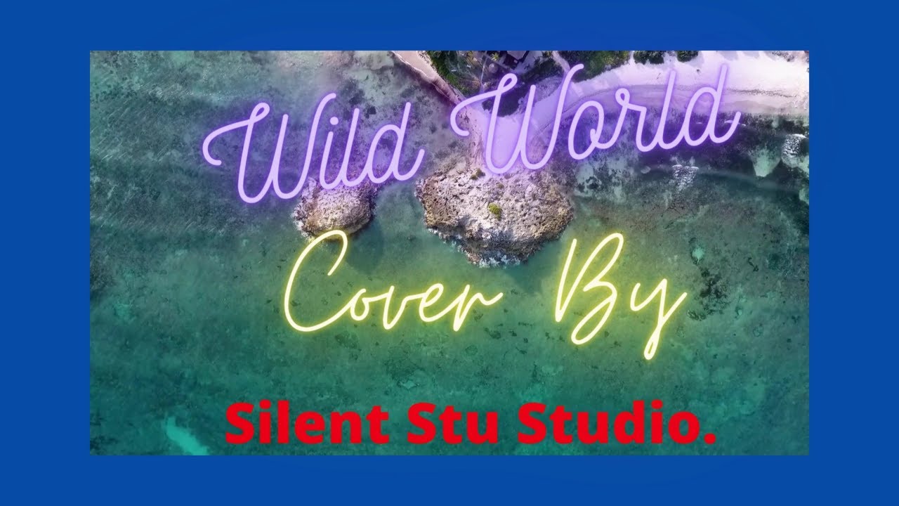 Wild World Cover By Silent Stu YouTube